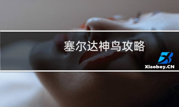 塞尔达神鸟攻略