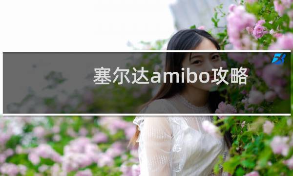 塞尔达amibo攻略
