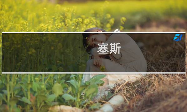 塞斯 攻略