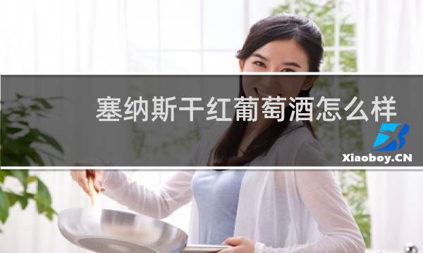 塞纳斯干红葡萄酒怎么样