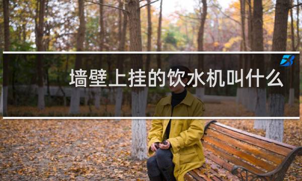 墙壁上挂的饮水机叫什么