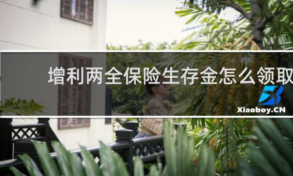 增利两全保险生存金怎么领取