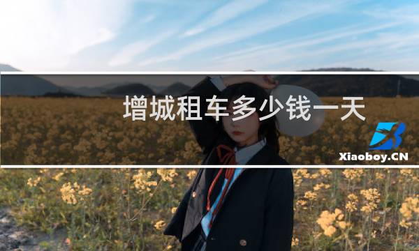 增城租车多少钱一天