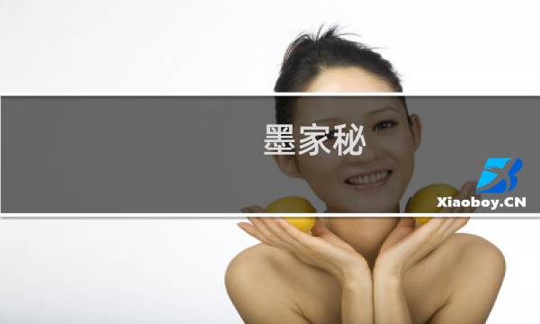 墨家秘 攻略