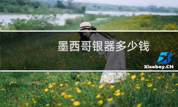 墨西哥银器多少钱