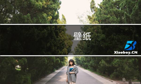 壁纸 最终幻想 x