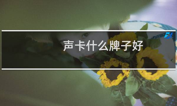 声卡什么牌子好