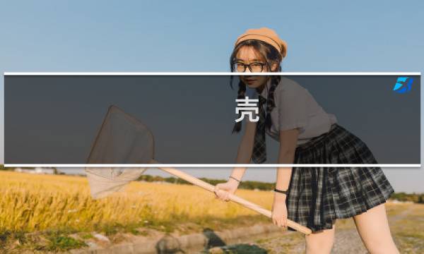 壳 少女攻略