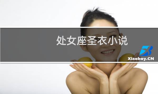 处女座圣衣小说