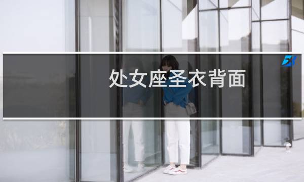 处女座圣衣背面