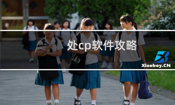 处cp软件攻略