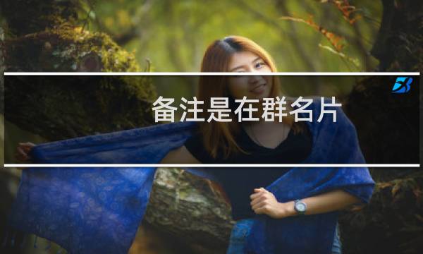 备注是在群名片