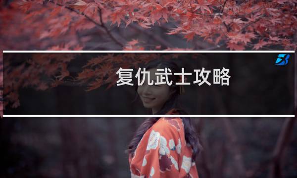 复仇武士攻略