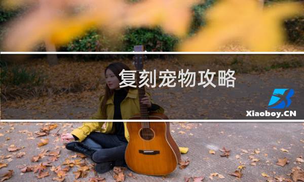 复刻宠物攻略