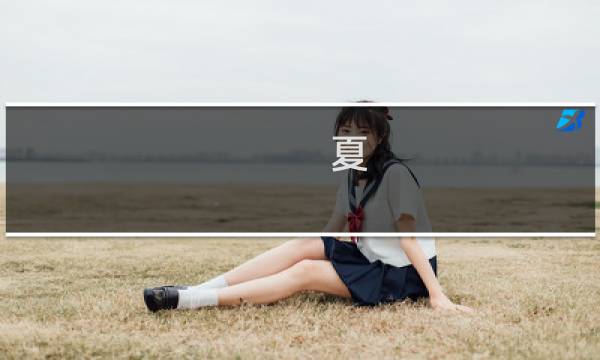 夏 游戏攻略
