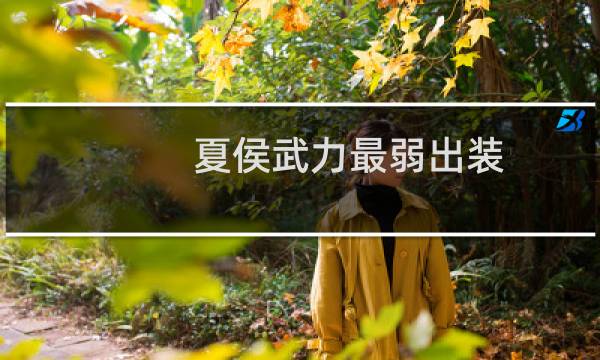 夏侯武力最弱出装