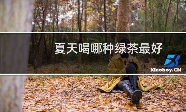 夏天喝哪种绿茶最好