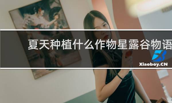 夏天种植什么作物星露谷物语