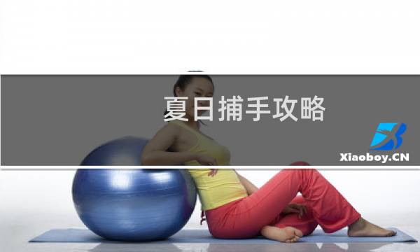 夏日捕手攻略