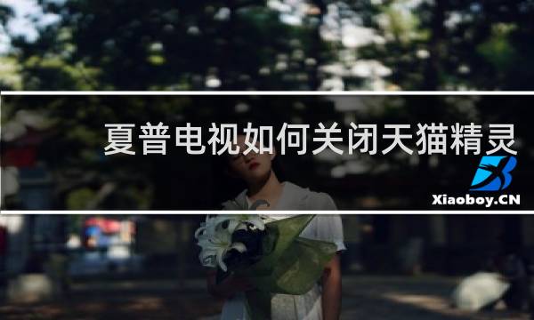 夏普电视如何关闭天猫精灵