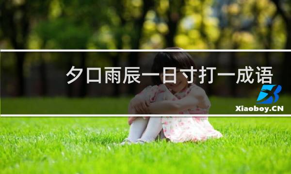 夕口雨辰一日寸打一成语