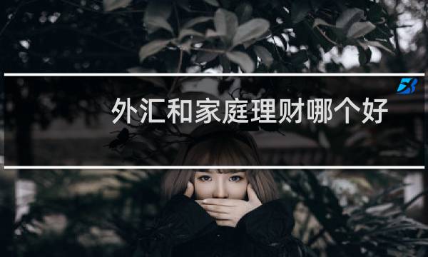 外汇和家庭理财哪个好