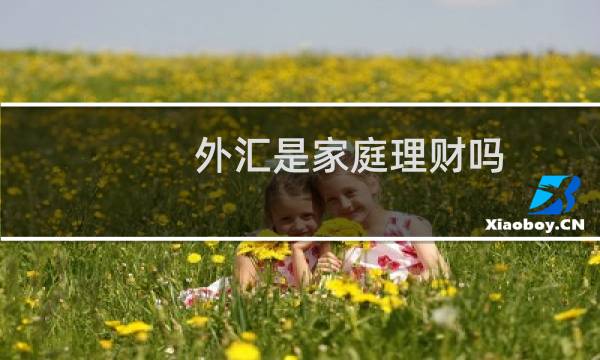 外汇是家庭理财吗