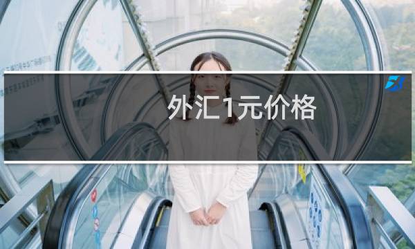 外汇1元价格