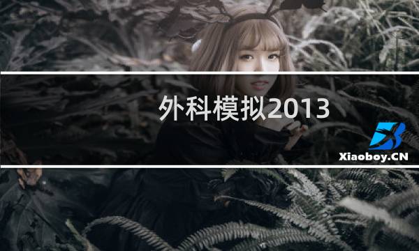 外科模拟2013 攻略