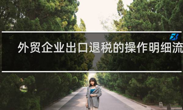 外贸企业出口退税的操作明细流程