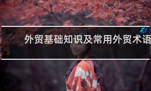 外贸基础知识及常用外贸术语