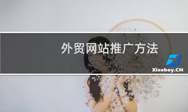 外贸网站推广方法