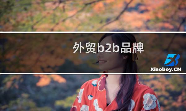 外贸b2b品牌