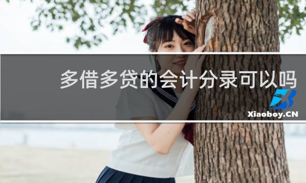多借多贷的会计分录可以吗