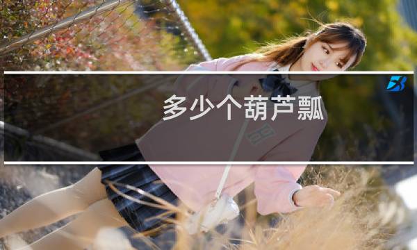 多少个葫芦瓢