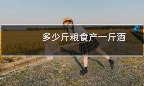 多少斤粮食产一斤酒