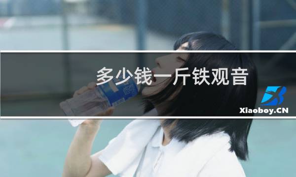 多少钱一斤铁观音