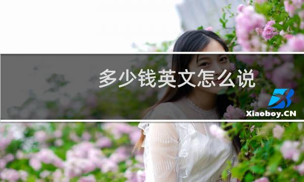 多少钱英文怎么说