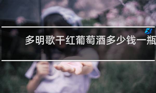 多明歌干红葡萄酒多少钱一瓶