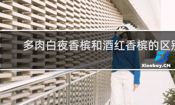 多肉白夜香槟和酒红香槟的区别