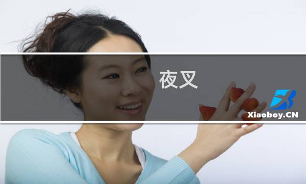 夜叉 攻略