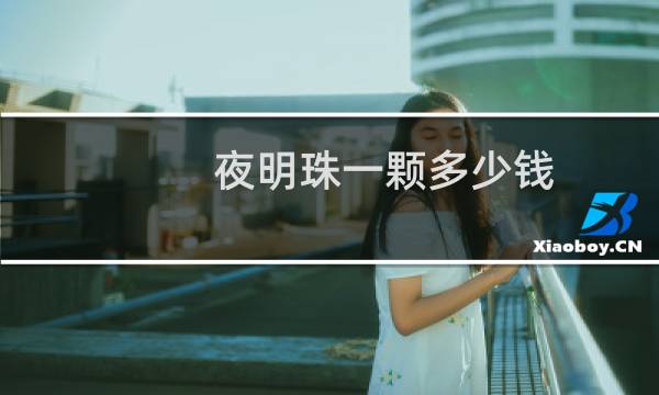 夜明珠一颗多少钱