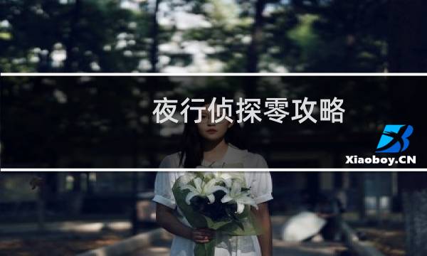 夜行侦探零攻略