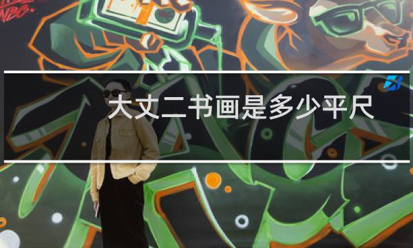 大丈二书画是多少平尺