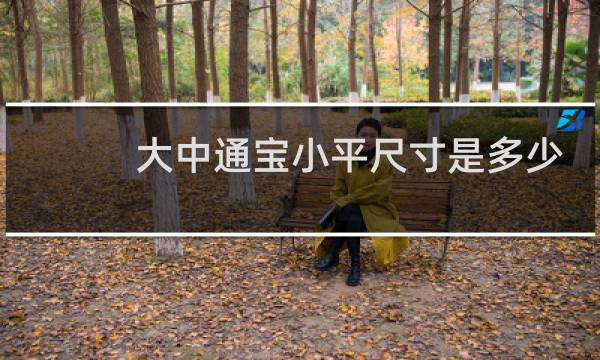 大中通宝小平尺寸是多少