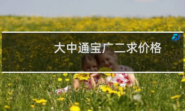 大中通宝广二求价格