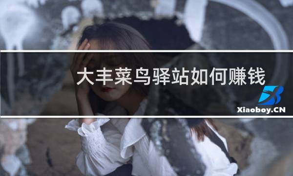 大丰菜鸟驿站如何赚钱
