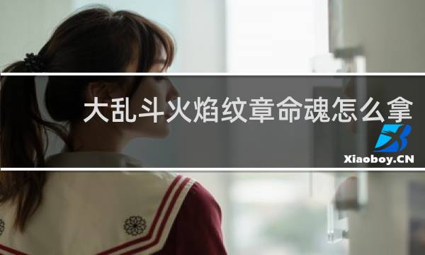 大乱斗火焰纹章命魂怎么拿