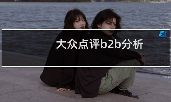大众点评b2b分析