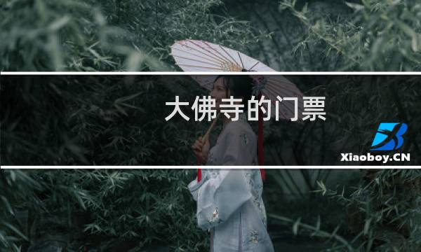 大佛寺的门票